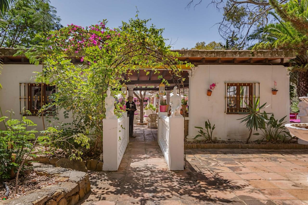 Roman Oasis venue